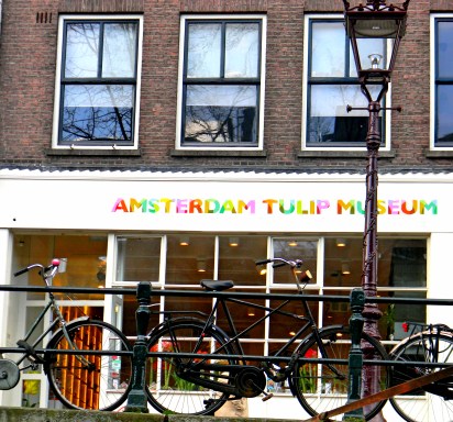 Amsterdam Tulip Museum