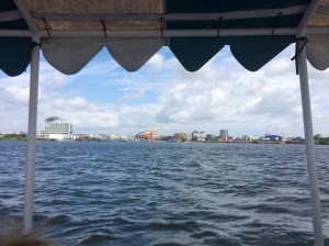 view from the daffodil boat