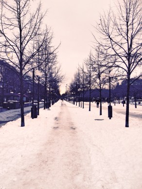 Snow covered road Stockholm