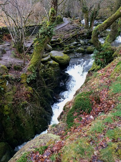 Aira Force, Lake District 