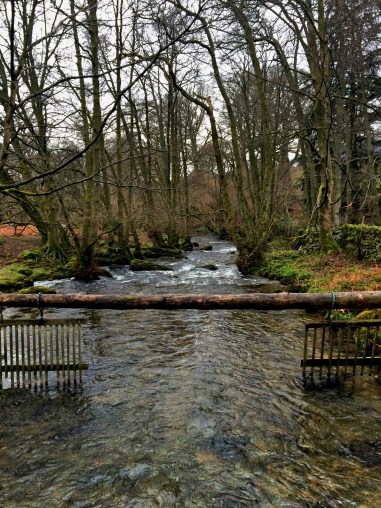 Stream at Aira Force, Lake District