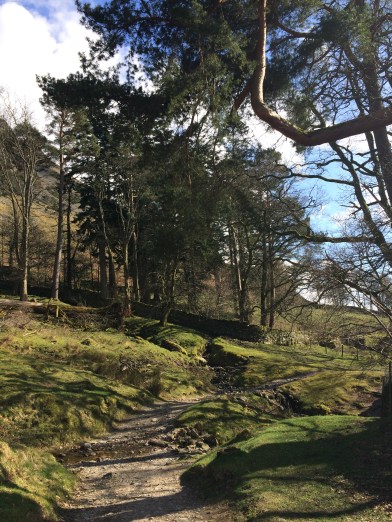 Walking to Howtown, Lake District