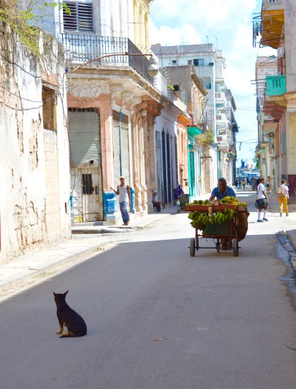 Havana Vieja, Cuba 