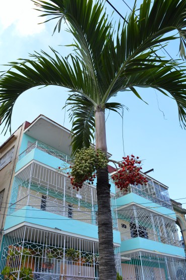 Houses in Vedado, Havana, Cuba 