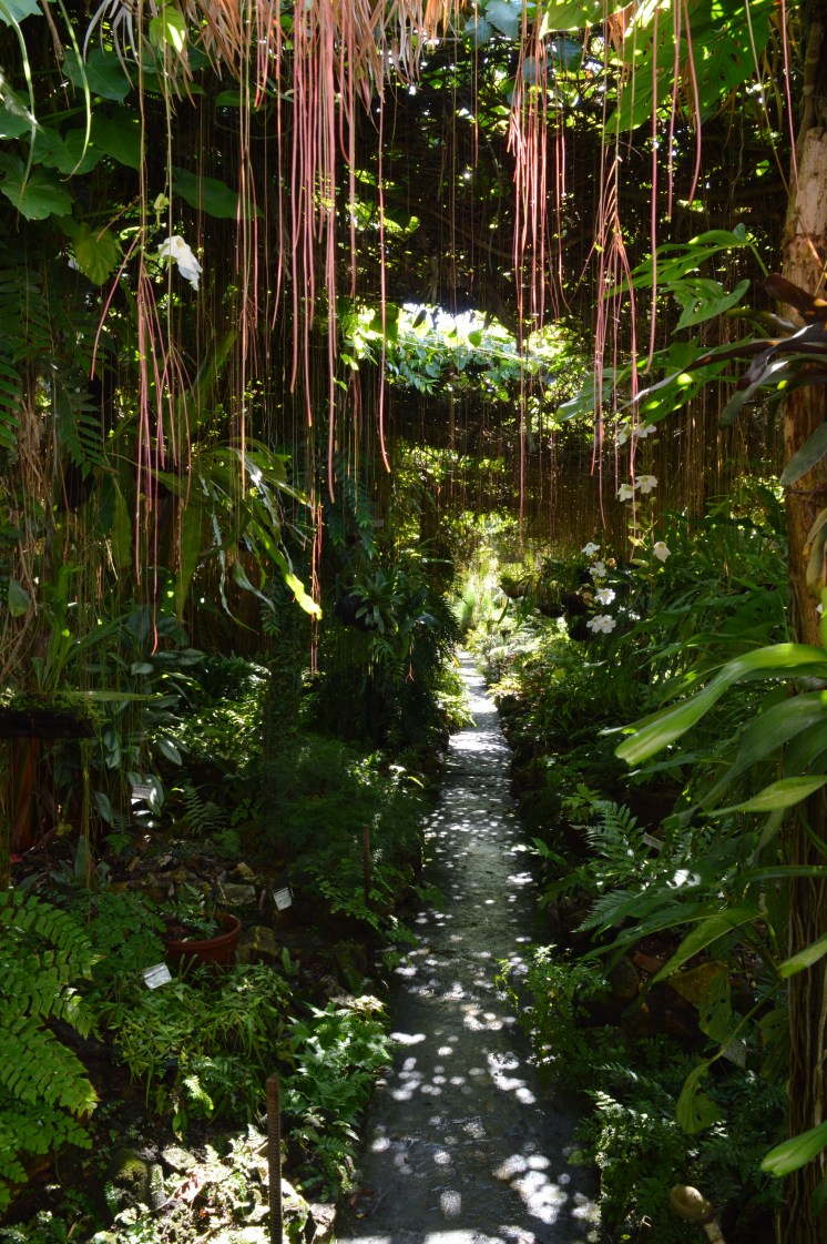 Jardin de los Helechos, Santiago de Cuba, Cuba 2.jpg