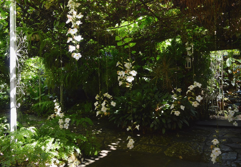 Jardin de los Helechos, Santiago de Cuba, Cuba.jpg