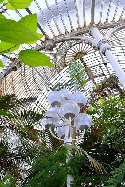 Inside Belfast Botanical Garden Conservatory, Northern Ireland