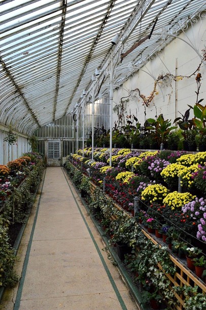 Inside Belfast Botanical Garden Conservatory, Northern Ireland