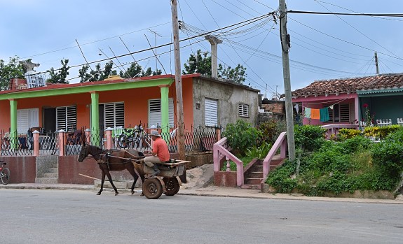 Cuban Cowboy, Vinales, Cuba