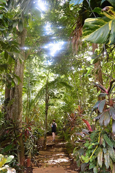 Jardin Botanico de Caridad, Vinales, Cuba