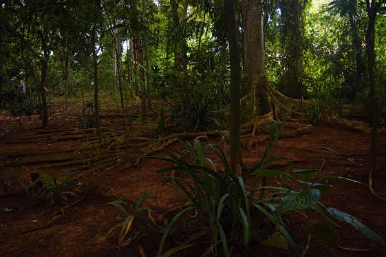 Jardin Botanico de Caridad, Vinales, Cuba
