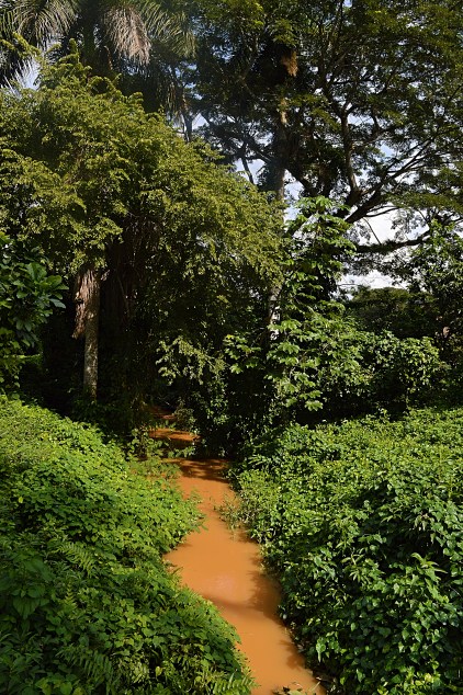 Rancho San Vincente, Vinales, Cuba