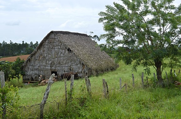 Village near Hotel Los Jazmines, Vinales, Cuba