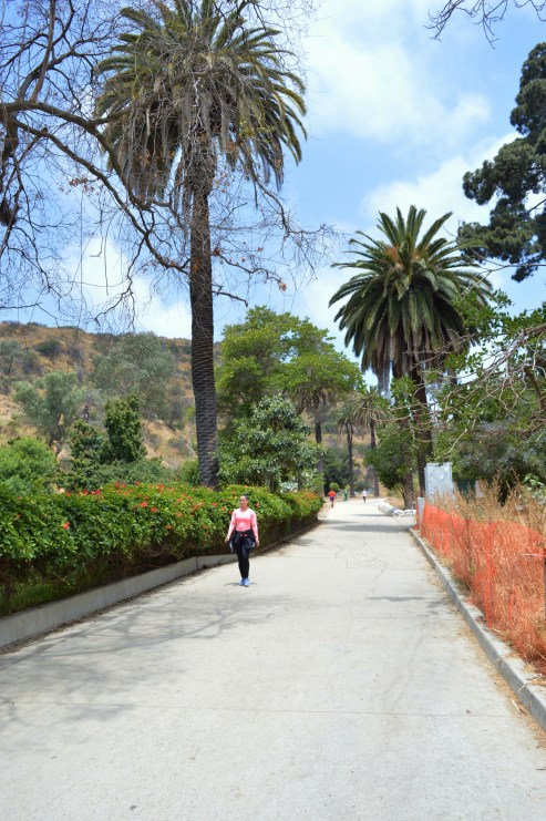 Runyon Canyon Park, Los Angeles, USA