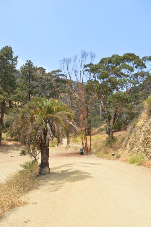 Runyon Canyon Park, Los Angeles, USA
