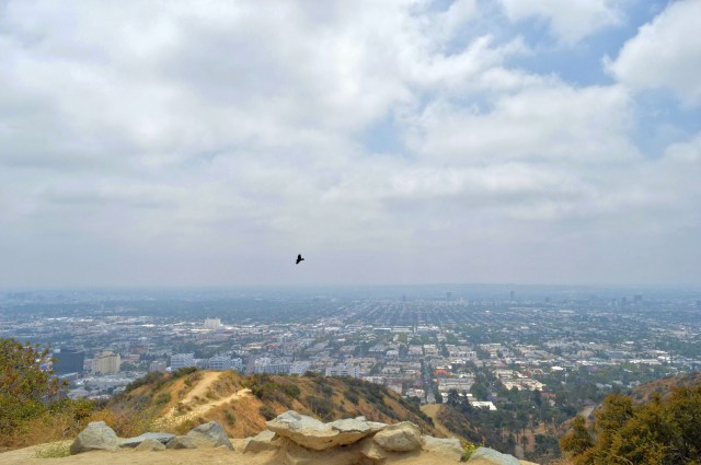 View from Runyon Canyon Park, Los Angeles, USA