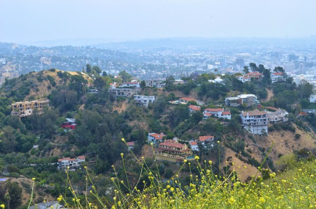 View from Runyon Canyon Park, Los Angeles, USA